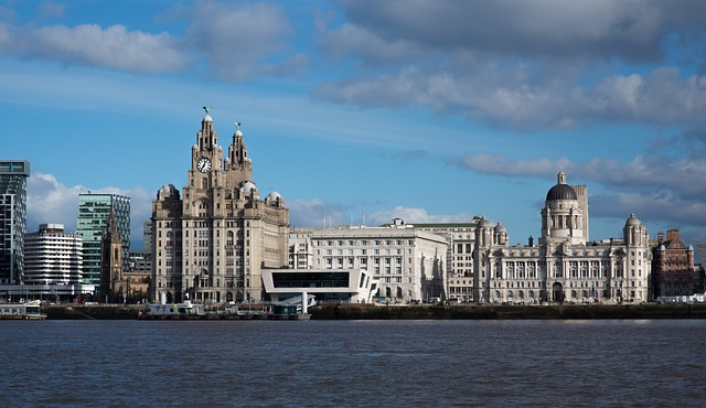 Heli Buzz Liver building