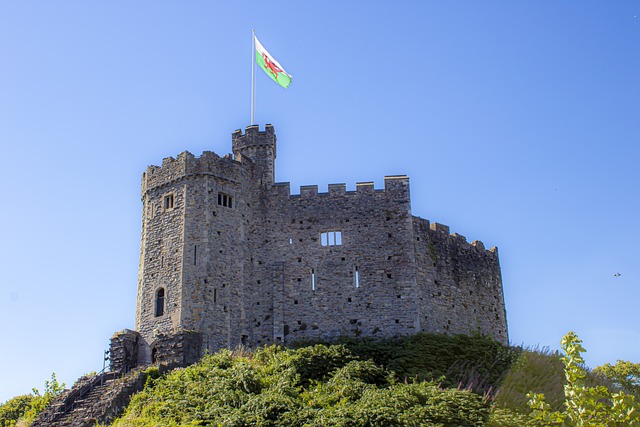 Heli Buzz flights in cardiff and South Waleshwest